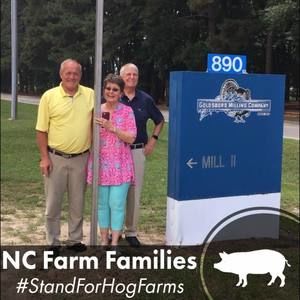 Meet your Posher, Faye